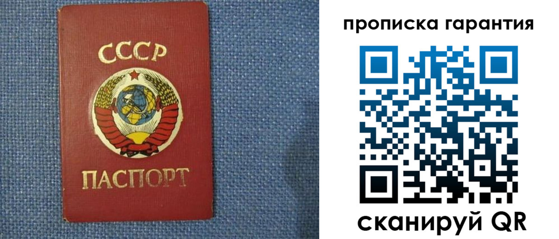 прописка 2025 в Кольчугино